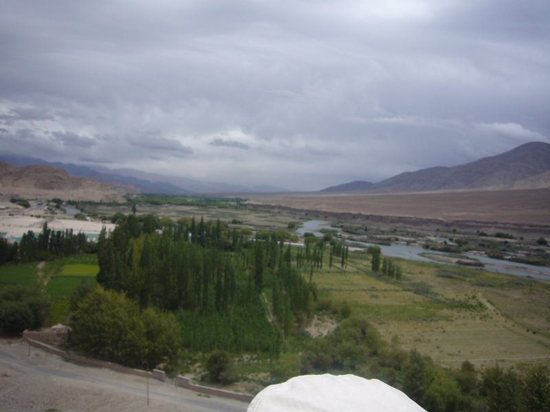 Travel - India - Ladakh - Trip to Alchi - Gas Truck